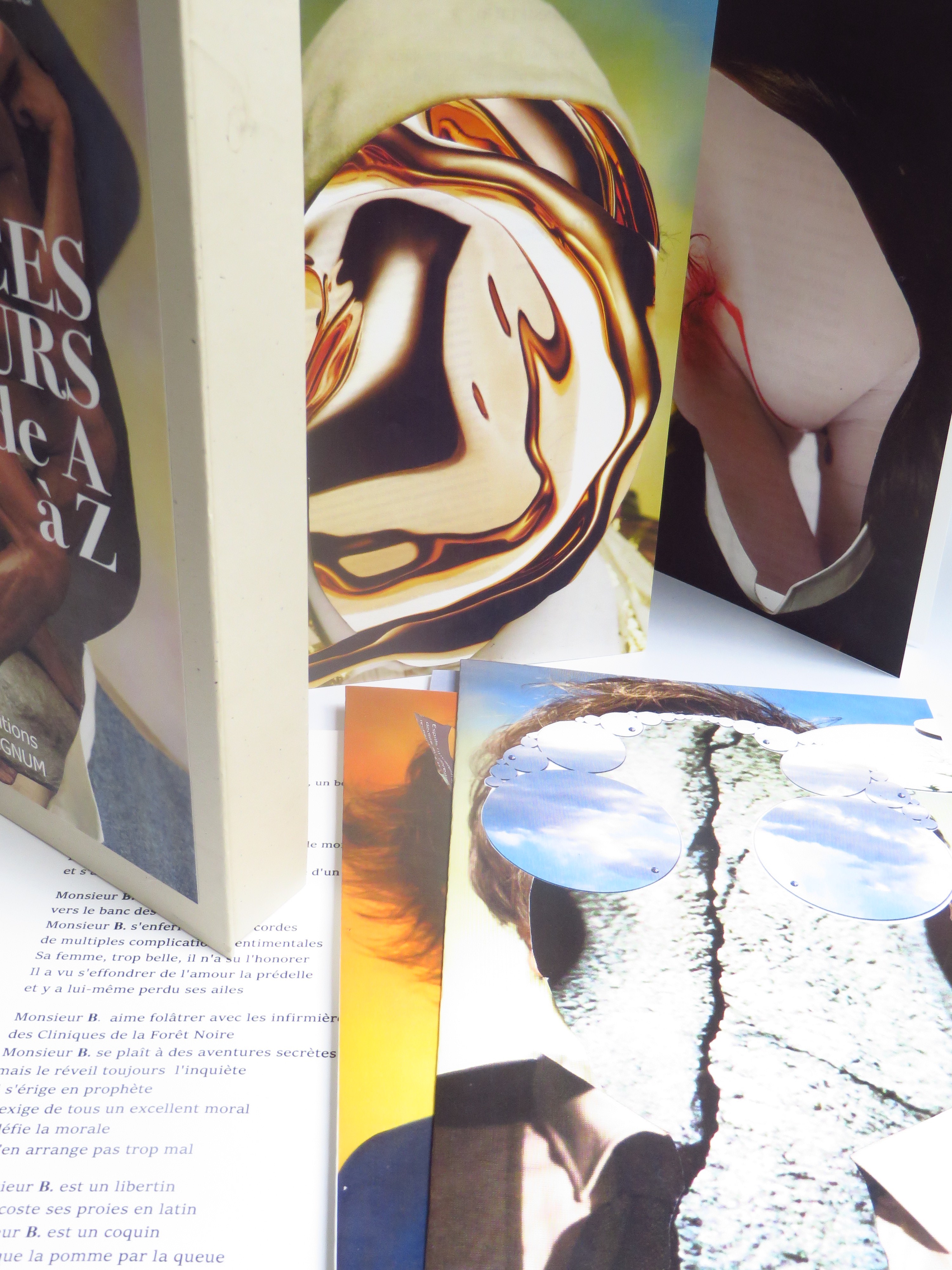 Ces messieurs-Daniel Leuwers 1 – copie