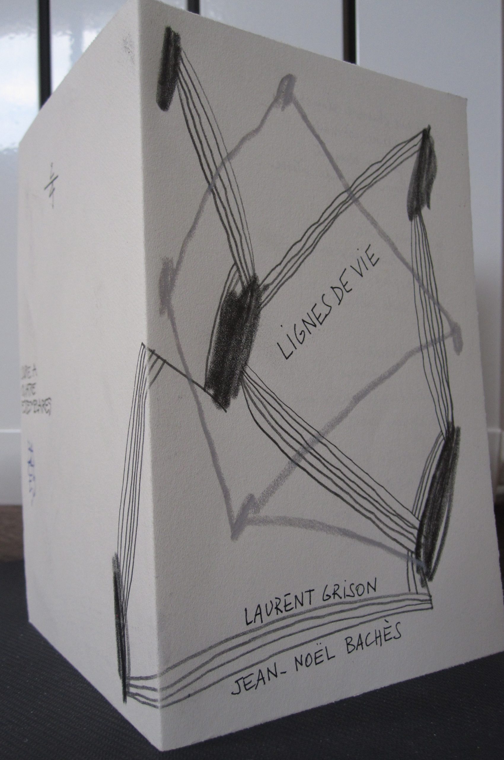 Lignes de vie 1 – copie